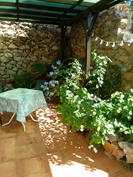 under the pergola